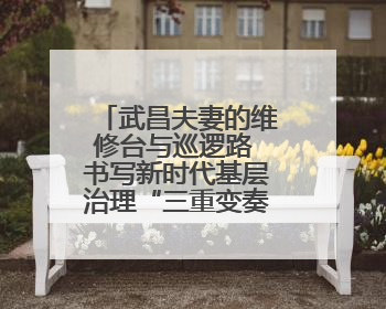 武昌夫妻的维修台与巡逻路 书写新时代基层治理“三重变奏曲”