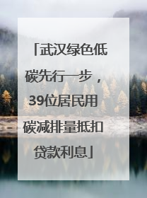 武汉绿色低碳先行一步，39位居民用碳减排量抵扣贷款利息