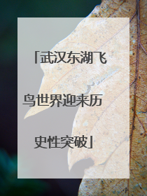 武汉东湖飞鸟世界迎来历史性突破