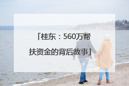 桂东：560万帮扶资金的背后故事