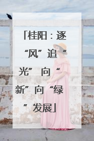 桂阳：逐“风”追“光” 向“新”向“绿”发展