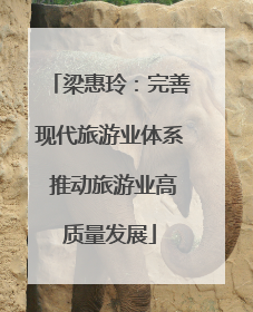梁惠玲：完善现代旅游业体系 推动旅游业高质量发展
