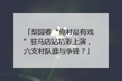 梨园春“俺村最有戏”驻马店站精彩上演，六支村队谁与争锋？