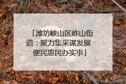 潍坊峡山区岞山街道：聚力集采谋发展 便民惠民办实事