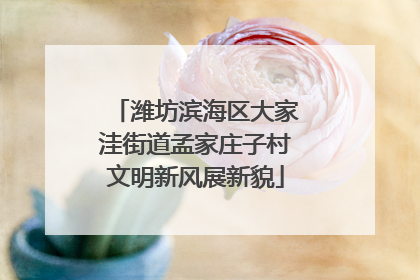 潍坊滨海区大家洼街道孟家庄子村文明新风展新貌
