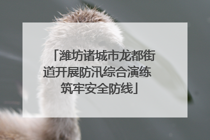 潍坊诸城市龙都街道开展防汛综合演练 筑牢安全防线