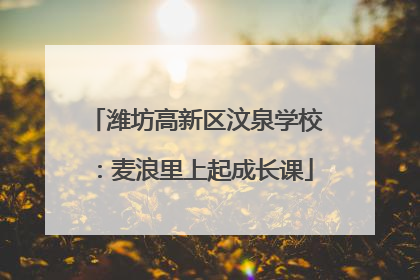 潍坊高新区汶泉学校：麦浪里上起成长课