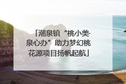 潮泉镇“桃小美·泉心办”助力梦幻桃花源项目扬帆起航