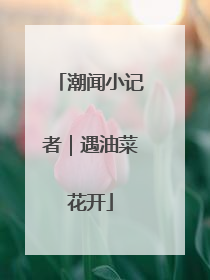 潮闻小记者｜遇油菜花开