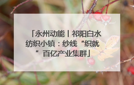 永州动能丨祁阳白水纺织小镇：纱线“织就”百亿产业集群