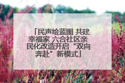 民声绘蓝图 共建幸福家 六合社区亲民化改造开启“双向奔赴”新模式