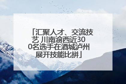 汇聚人才、交流技艺 川南渝西近300名选手在酒城泸州展开技能比拼