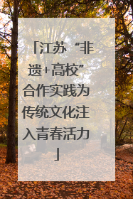 江苏“非遗+高校”合作实践为传统文化注入青春活力