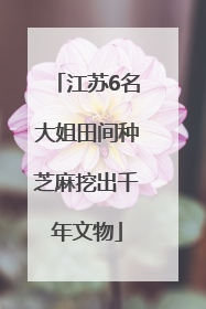 江苏6名大姐田间种芝麻挖出千年文物