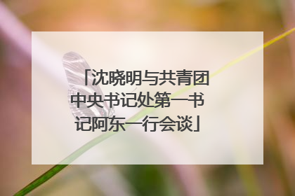 沈晓明与共青团中央书记处第一书记阿东一行会谈