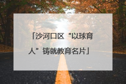 沙河口区“以球育人”铸就教育名片