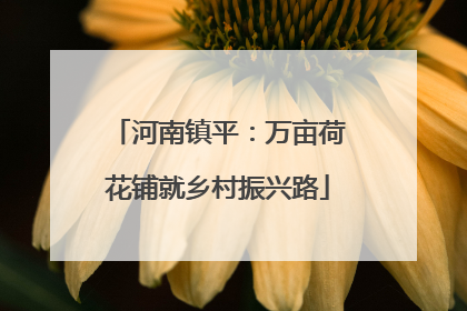 河南镇平：万亩荷花铺就乡村振兴路