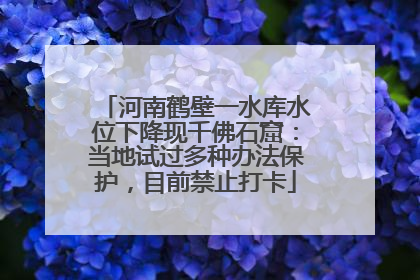 河南鹤壁一水库水位下降现千佛石窟：当地试过多种办法保护，目前禁止打卡