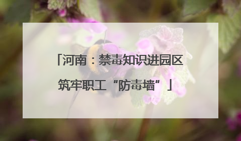 河南：禁毒知识进园区 筑牢职工“防毒墙”