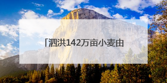 泗洪142万亩小麦由南往北陆续收割，投入2700余台收割机