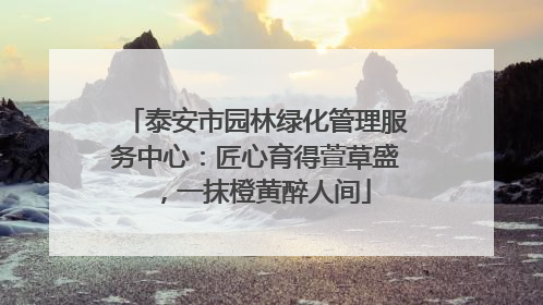 泰安市园林绿化管理服务中心：匠心育得萱草盛，一抹橙黄醉人间