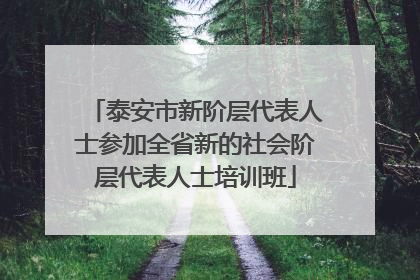 泰安市新阶层代表人士参加全省新的社会阶层代表人士培训班