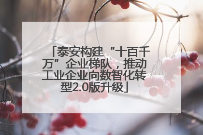 泰安构建“十百千万”企业梯队，推动工业企业向数智化转型2.0版升级