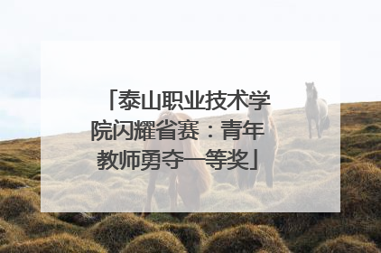 泰山职业技术学院闪耀省赛：青年教师勇夺一等奖
