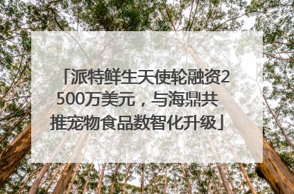 派特鲜生天使轮融资2500万美元，与海鼎共推宠物食品数智化升级