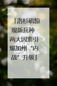 洛杉矶惊现新兵种 两大因素引爆加州“内战”升级