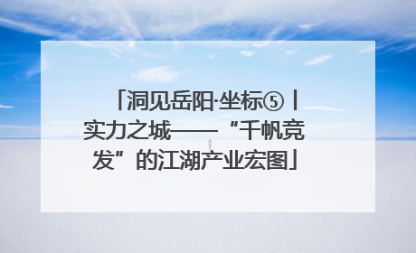 洞见岳阳·坐标⑤丨实力之城——“千帆竞发”的江湖产业宏图