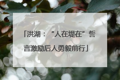 洪湖：“人在堤在”誓言激励后人勇毅前行