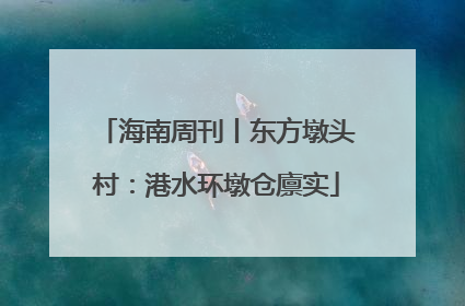 海南周刊丨东方墩头村：港水环墩仓廪实