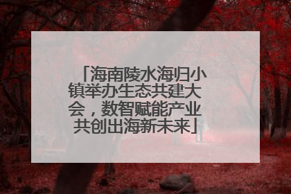 海南陵水海归小镇举办生态共建大会，数智赋能产业共创出海新未来