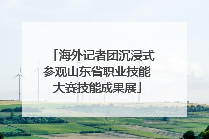 海外记者团沉浸式参观山东省职业技能大赛技能成果展