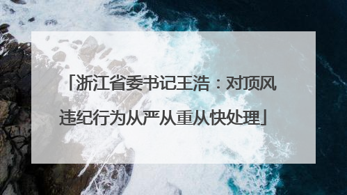 浙江省委书记王浩：对顶风违纪行为从严从重从快处理