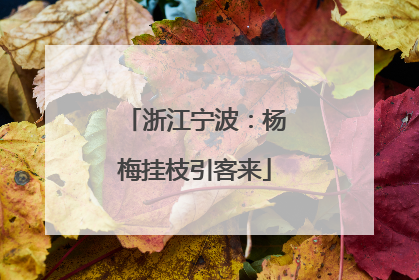 浙江宁波：杨梅挂枝引客来