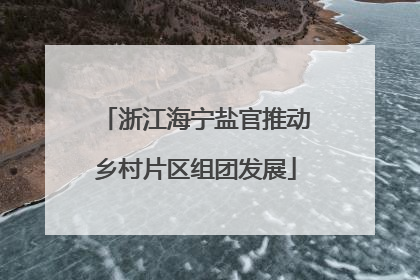 浙江海宁盐官推动乡村片区组团发展