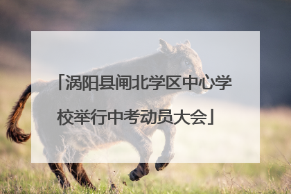涡阳县闸北学区中心学校举行中考动员大会