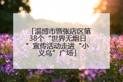 淄博市暨张店区第38个“世界无烟日”宣传活动走进“小义乌”广场