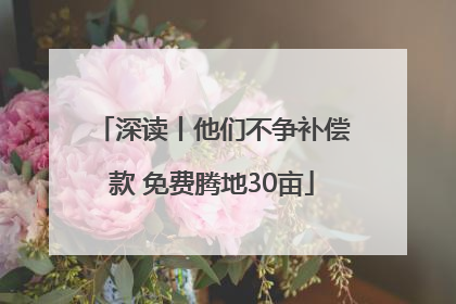 深读丨他们不争补偿款 免费腾地30亩