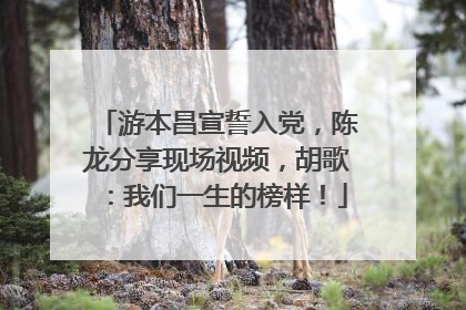 游本昌宣誓入党，陈龙分享现场视频，胡歌：我们一生的榜样！