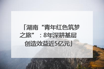 湖南“青年红色筑梦之旅”：8年深耕基层创造效益近5亿元