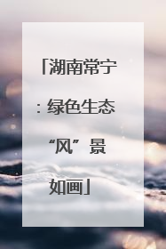 湖南常宁：绿色生态 “风”景如画