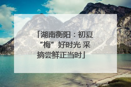 湖南衡阳：初夏“梅”好时光 采摘尝鲜正当时