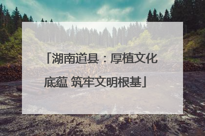 湖南道县：厚植文化底蕴 筑牢文明根基