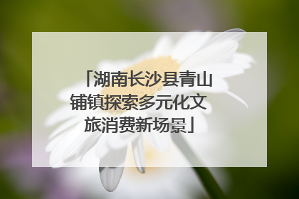 湖南长沙县青山铺镇探索多元化文旅消费新场景