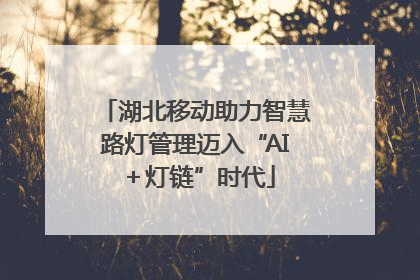 湖北移动助力智慧路灯管理迈入“AI＋灯链”时代