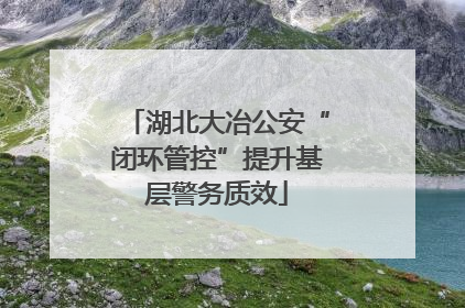 湖北大冶公安“闭环管控”提升基层警务质效
