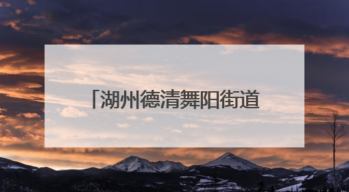湖州德清舞阳街道：畅享夏日好“食”光 安全防线共守护——食品安全与中医养生知识宣传